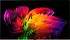 LG OLED-W69LA