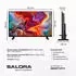 Salora SMART24TV