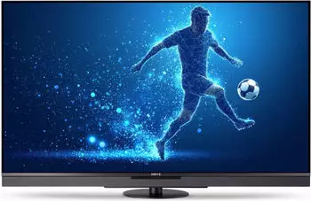 Metz blue 55MQF8101Z (55 Zoll)