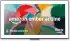 Amazon Ember Artline (QL55M800D)