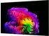 LG OLED evo AI G6 OLED97G67LW