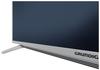 Grundig 55 GUS 8768