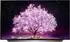 LG OLED55C17LB