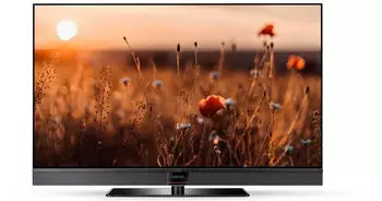 Metz Aurus 55 TY88 OLED twin