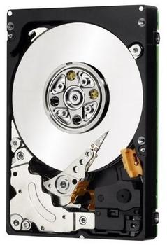 IBM 42D0417 300 GB