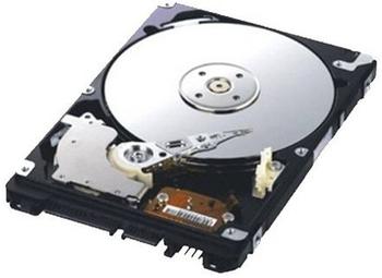 Seagate ST640LM000 640 GB