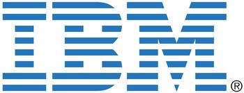 IBM EXP2512 Hot-Swap SAS 300GB (49Y1899)