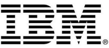 IBM 81Y9596 600 GB