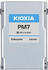Kioxia PM7-R
