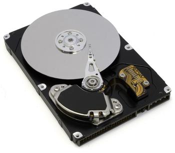 Samsung SpinPoint T133 300GB (HD300LD)