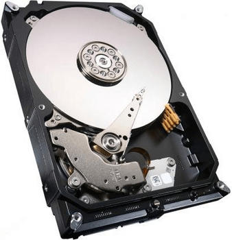 Seagate NAS HDD SATA III 4TB (ST4000VN000)
