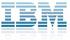 IBM 2076-3514 400 GB