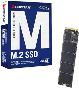 Biostar M760 256GB