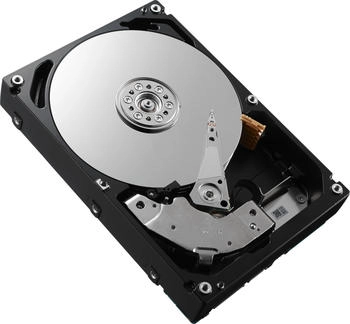 Dell SAS NL Hot-Swap 2TB (WDC07)