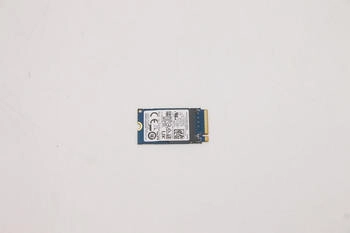 Lenovo NVMe 256GB M.2 (5SS0V26415)