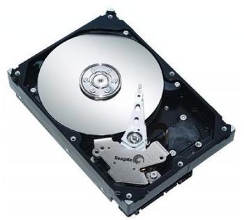 Seagate ST31000640SS 1000 GB