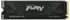 Kingston Fury Renegade G5