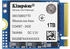 1.000 GB: Kingston SNV3S