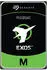 Seagate Exos M