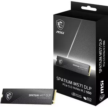 MSI Spatium M571 DLP 2TB