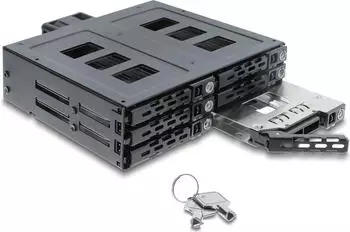 DeLock Wechselrahmen 5,25" für 6x 2,5" SATA/SAS HDD/SSD mit Schloss (47142)
