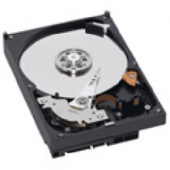 Western Digital AV 320GB (WD3200AVJS)