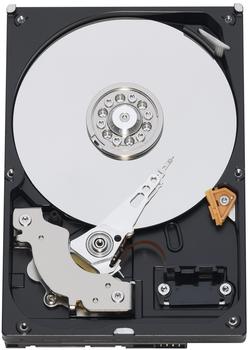 Western Digital RE3 250GB (WD2502ABYS)