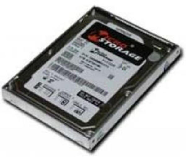 Micro Storage SATA II 256GB (SSDM256I328)