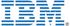 IBM SAS 1.2TB (AD080)