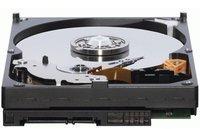 Western Digital Caviar Blue SATA II 640GB (WD6400AAKS)