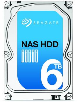 Seagate NAS HDD 6TB (ST6000VN0021)