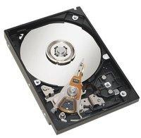 Hitachi Ultrastar A7K1000 1TB (HUA721010KLA330)