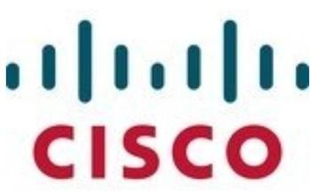 Cisco Systems SAS Hot-Swap 300GB (UCS-HD300G15K12G=)