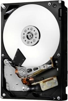 HGST Ultrastar 7K6000 SAS 4TB (HUS726040AL4210/0F22794)