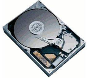 Seagate Barracuda 7200.9 80GB (ST3808110AS)