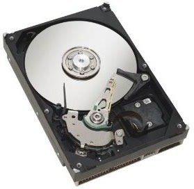 Fujitsu SATA Hot-Swap 1TB (S26361-F3951-L100)