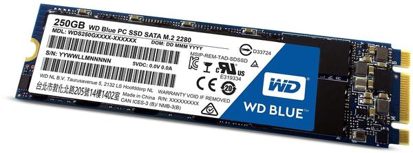 Western Digital Blue PC SSD 250GB M.2