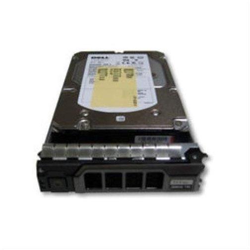 Micro Storage SAS Hot-Swap 300GB (SA300005I837)