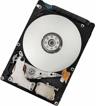 IBM SAS II 300GB (90Y8878)