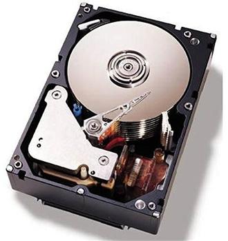 IBM 2TB (81Y9810)