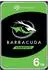256 MB, 6 TB: Seagate BarraCuda 3,5 Zoll
