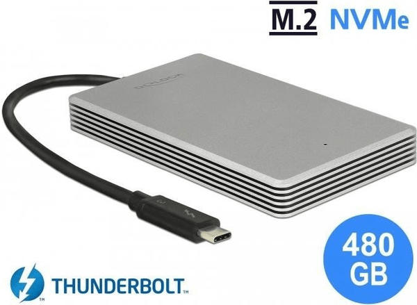 DeLock Thunderbolt 3 480GB (54007)