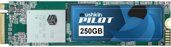 Mushkin Pilot 250GB