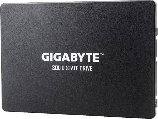 GigaByte SSD 256GB (GP-GSTFS31256GTND)
