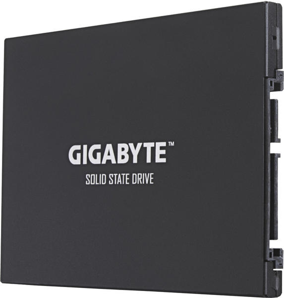 GigaByte UD Pro 256GB (GP-GSTFS30256GTTD)
