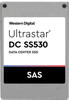 Western Digital WD Ultrastar DC SS530 WUSTR1548ASS200 – SSD – 480 GB –...