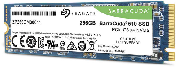 Seagate BarraCuda 510 256GB (ZP256CM30041)