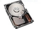 IBM SAS 300GB (42D0612)
