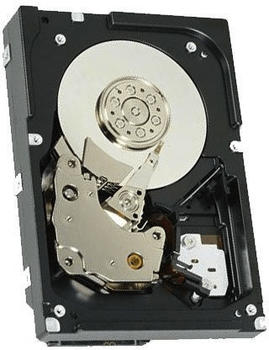 IBM SAS II 300GB (90Y8915)
