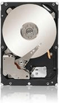 IBM SAS 1TB (99001468)